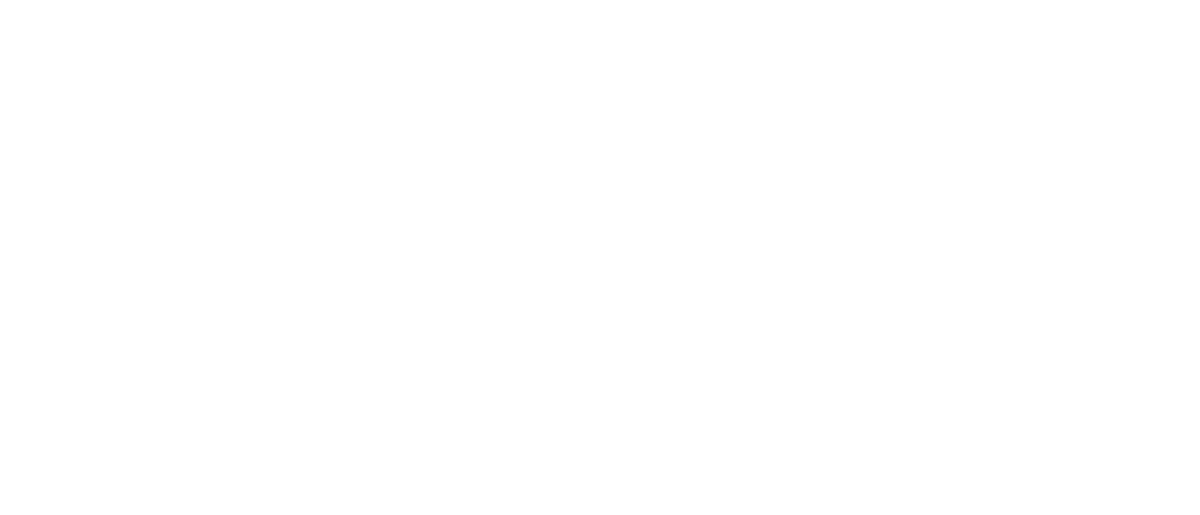 Measurement drawing of the MAKINA S7 Pro-PID: 290 mm wide, 425 mm high and 510 mm deep